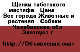 Щенки тибетского мастифа › Цена ­ 80 - Все города Животные и растения » Собаки   . Челябинская обл.,Златоуст г.